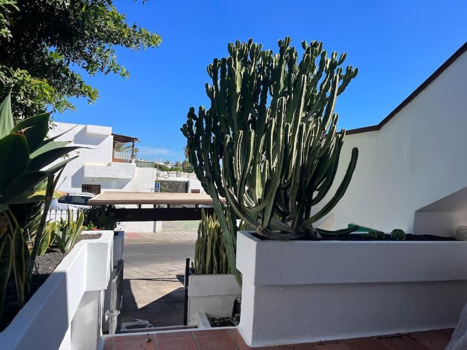 Paradise Playa Chica Con Terraza A 100M Del Mar Пуерто дел Кармен Екстериор снимка